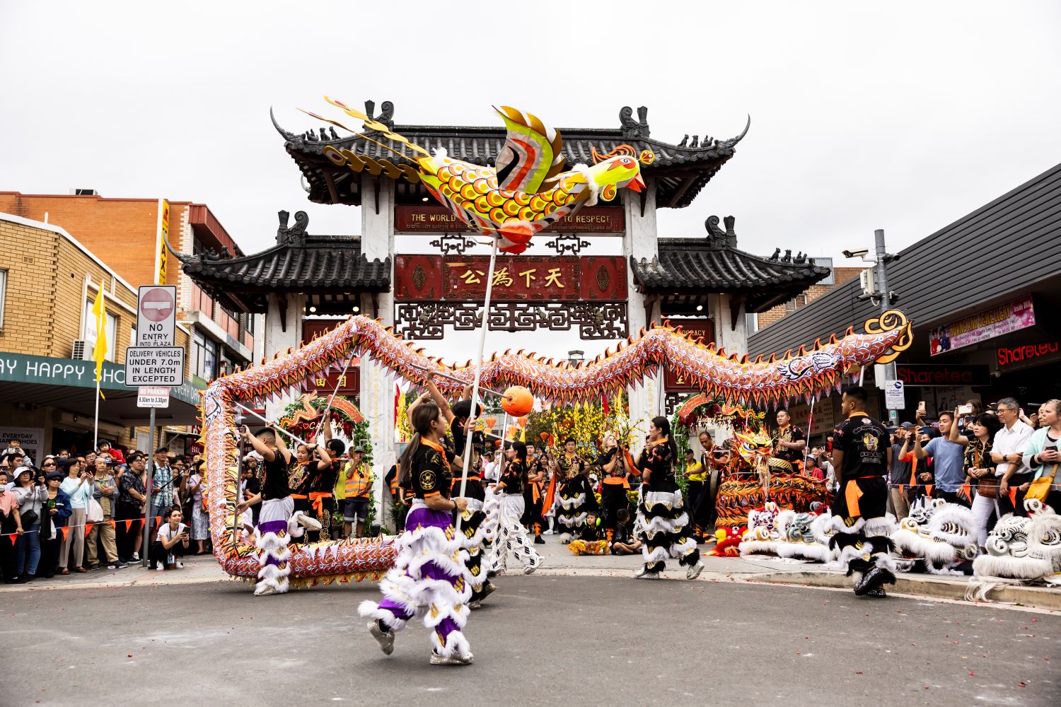 Dragon dancing and birth flying show