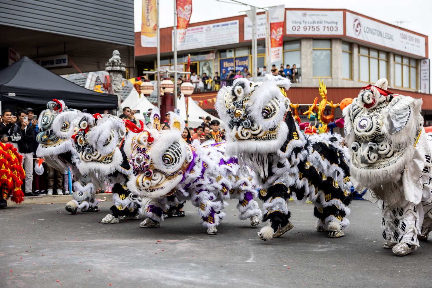 5 dancing lions